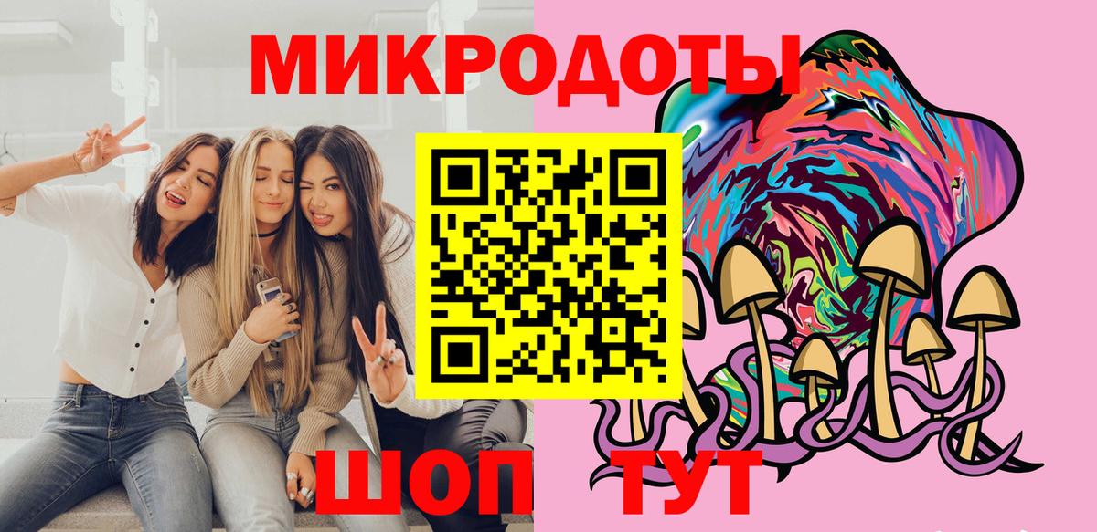 Псилоцибиновые грибы Psilocybe Кудымкар