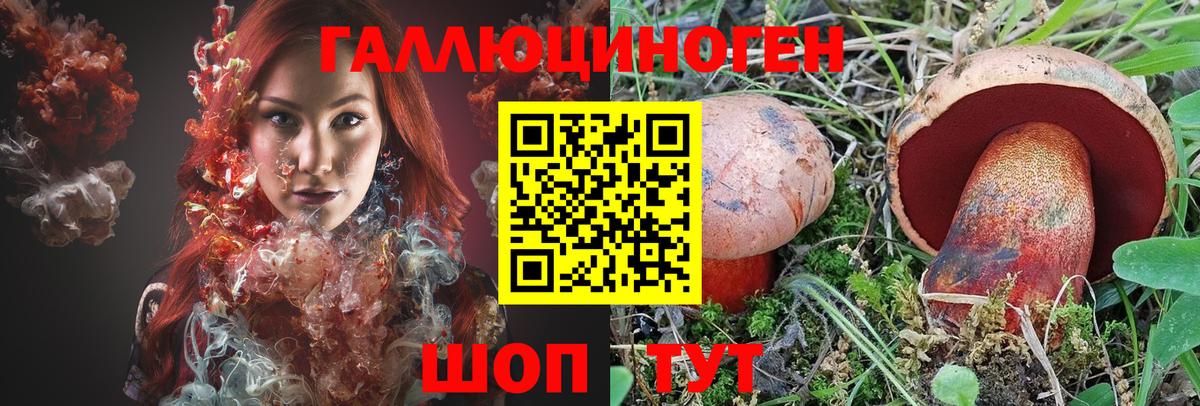 Псилоцибиновые грибы Psilocybe  Галлюциногенные грибы мицелий  Кудымкар  Вход с VPN 